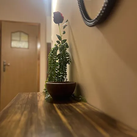 Centre - * Познань